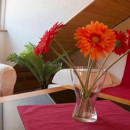 Exklusives Dachgeschossstudio Mit Dachterrasse, Stadtnah Apartment