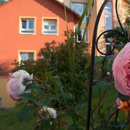 Exklusives Dachgeschossstudio Mit Dachterrasse, Stadtnah *