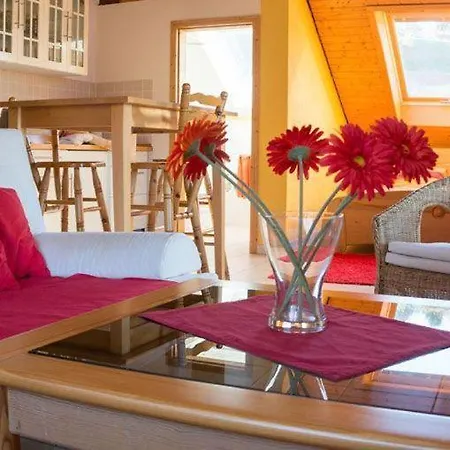 Apartment Exklusives Dachgeschossstudio Mit Dachterrasse, Stadtnah *